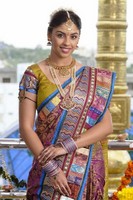 Richa Gangopadhyay Pictures